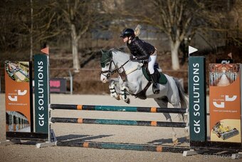 Nádherný pony valach - 6