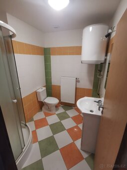Pronájem bytu 2+kk Týn nad Vltavou - 6