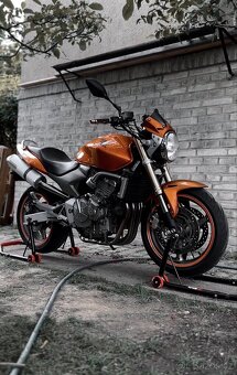 Honda Hornet - 6