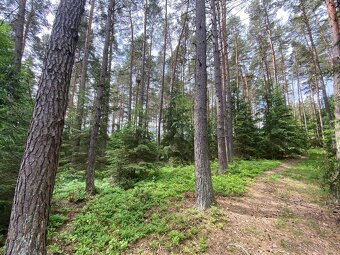 Lesní pozemek a ostatní plocha Lštění nad Zubřinou - 6
