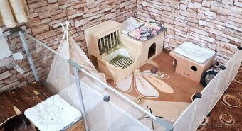 🥰Luxusni minilop 🥰 - 6