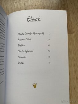 Zlaté české pohádky - komiks dle K. J. Erbena - 6