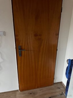 Stare dvere vcetne kovani - 6