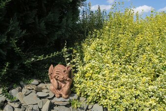 Zahradní dekorace - dráček umělý kámen - 6