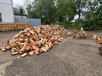 Palivové dřevo - 6