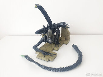 Warrior Alien 1/6 - AVP - Vetřelec - 6