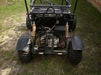 buggy 110 - 6