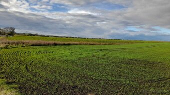 Zahrada Struhy u Čachovic - 6