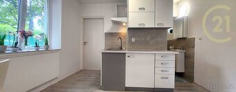 Prodej bytu 1+1 o CP 30 m² + 17m2 zahrada - 6