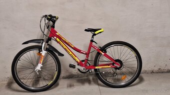 Dětské kolo Leader Fox Spider junior, červená 24'' - 6