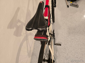 PELLS CRONO ABSOLUT - 6