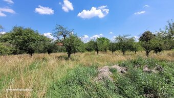 Prodej zahrady - Bučovice - Kloboučky - 6