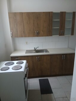 Pronájem bytu 1+1 52 m2 s parkováním - 6