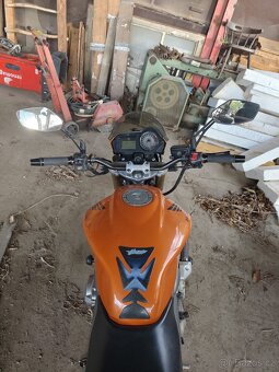 Honda Hornet 600 - 6