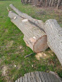 Lipové dřevo - 6