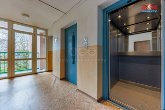 Prodej bytu 2+1, 46 m², Teplice, ul. Alejní - 6