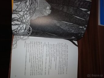 Astrid Lindgrenová knihy Jižní louka- nová, Bratří lví srdce - 6