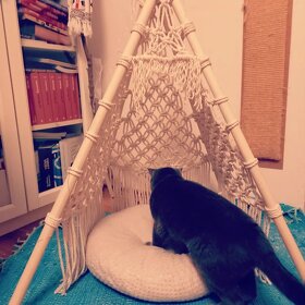 Teepee - 6