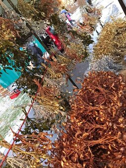 Vánoční Jmeli - 6