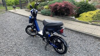 E-Babeta - 6