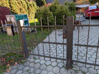 Kovaný plot - 6