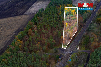 Prodej lesa, 6436 m², Lysá nad Labem - 6