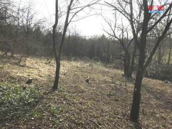 Prodej zahrady, 400 m², Postoloprty - 6