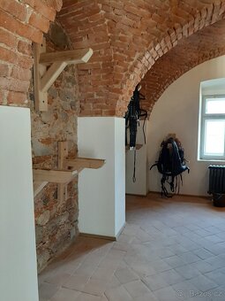 Ošetřovatel sportovních koní - 6