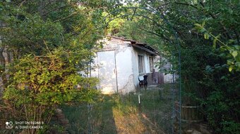 Chatička v sadu - 6