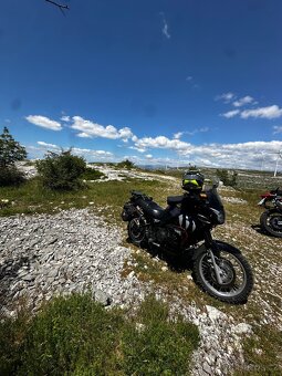 Triumph tiger 955i - 6
