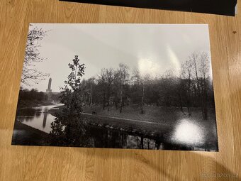 Fotografie černobílé - 6