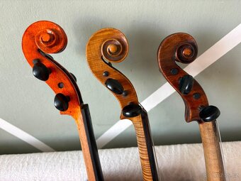 Tři staré viola - 6