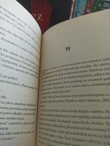 Kniha Anatomie: Příběh lásky - Dana Schwartz - 6