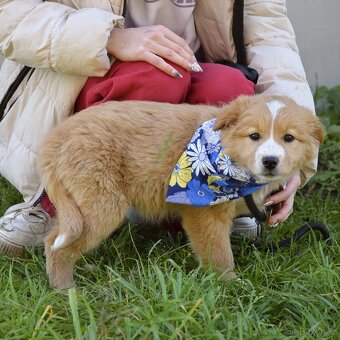 Balisha rezervace - 6