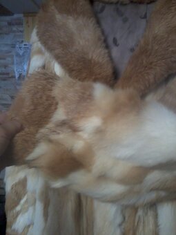 kožíšek králík - 6