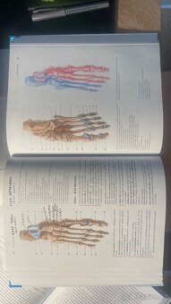 ANATOMIE 1 - Radomír Čihák - 6