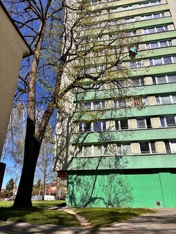 Pronájem bytu 3+1 po kompletní rekonstrukci – Janáčkova, Frý - 6