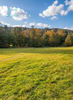 Prodej louky, Račice - Pístovice, 1784m2 - 6