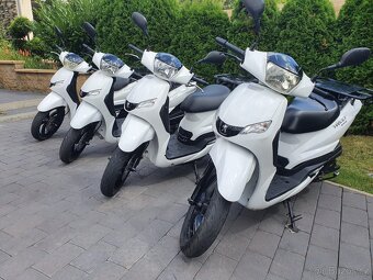 Půjčovna-pronájem skútrů, Bolt, Wolt, Foodora - 6