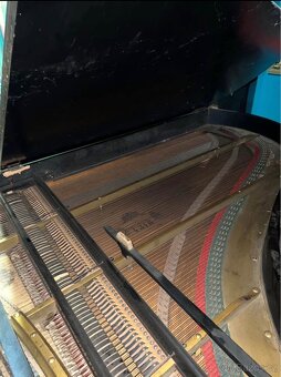 Heitzmann sohn klavírní křídlo - 6