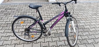 Dámské a pánské kolo - 6