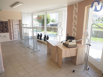 Pronájem, komerční prostor 48m2, Písek, ul. Čechova - 6