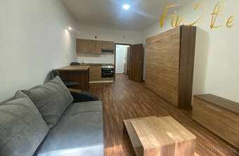 Pronajmu plně zařízený byt 1+kk, 27,4 m2, parking a lyžárna/ - 6