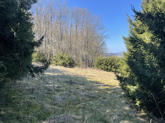 Prodej pozemku 634 m2 k výstavbě chaty v Sušici - 6