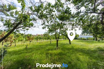 Prodej zahrad, Nový Šaldorf-Sedlešovice, ev.č. 100074 - 6