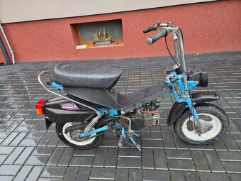 MOKIK Babetta - STELLA vzácná - 6