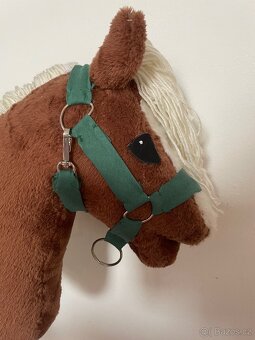 Hobby horse - 6
