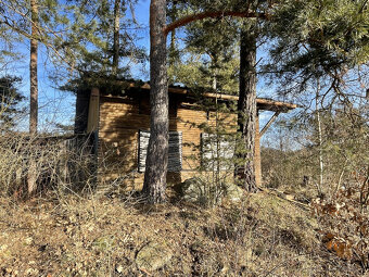 Šumava, pozemek 220 m2 s trampskou chatkou -glamping - 6