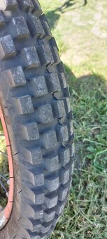 Beta Evo 300 Trial - 6