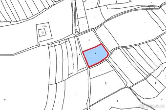 Lesní pozemky k.ú. Růžďka - 6